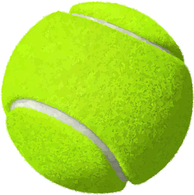 Tennis PNG, Free Racket, Tennis Ball Clipart Download Images