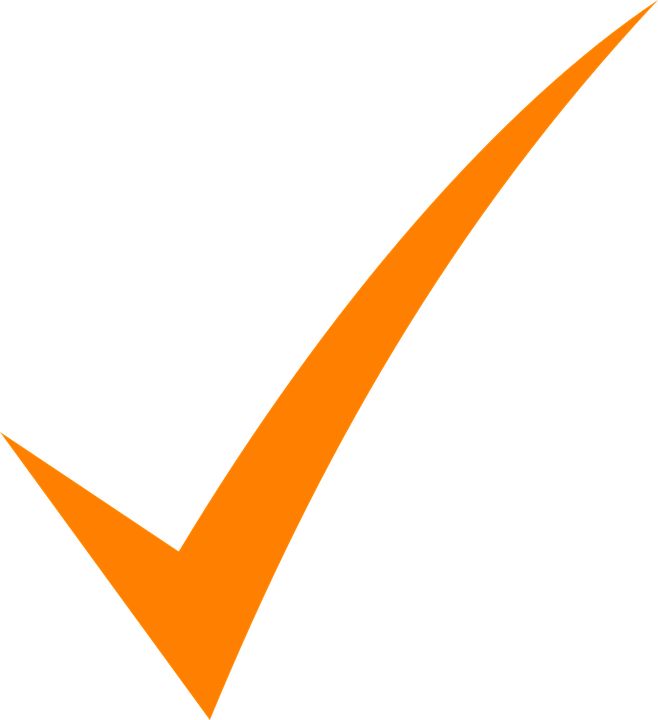 tick check mark orange vector graphic