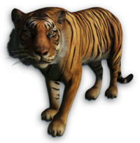 image cutout tiger far cry wiki #14753