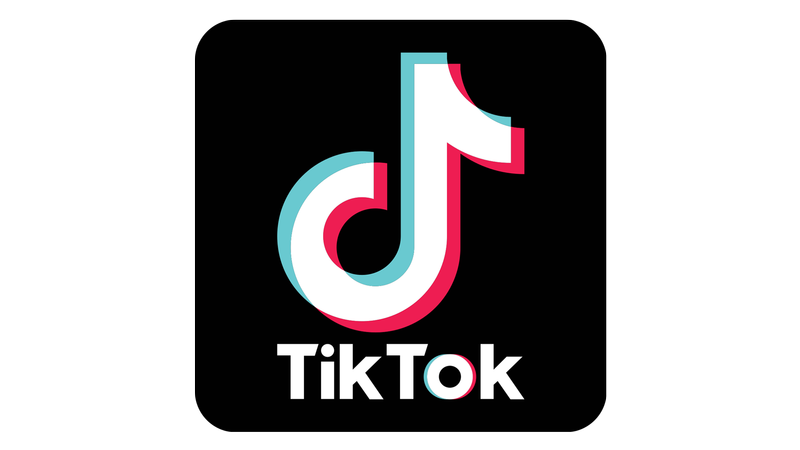 TikTok Logo