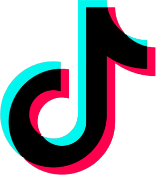 tik tok tiktok logo glitch toedit sticker fly wall #33084