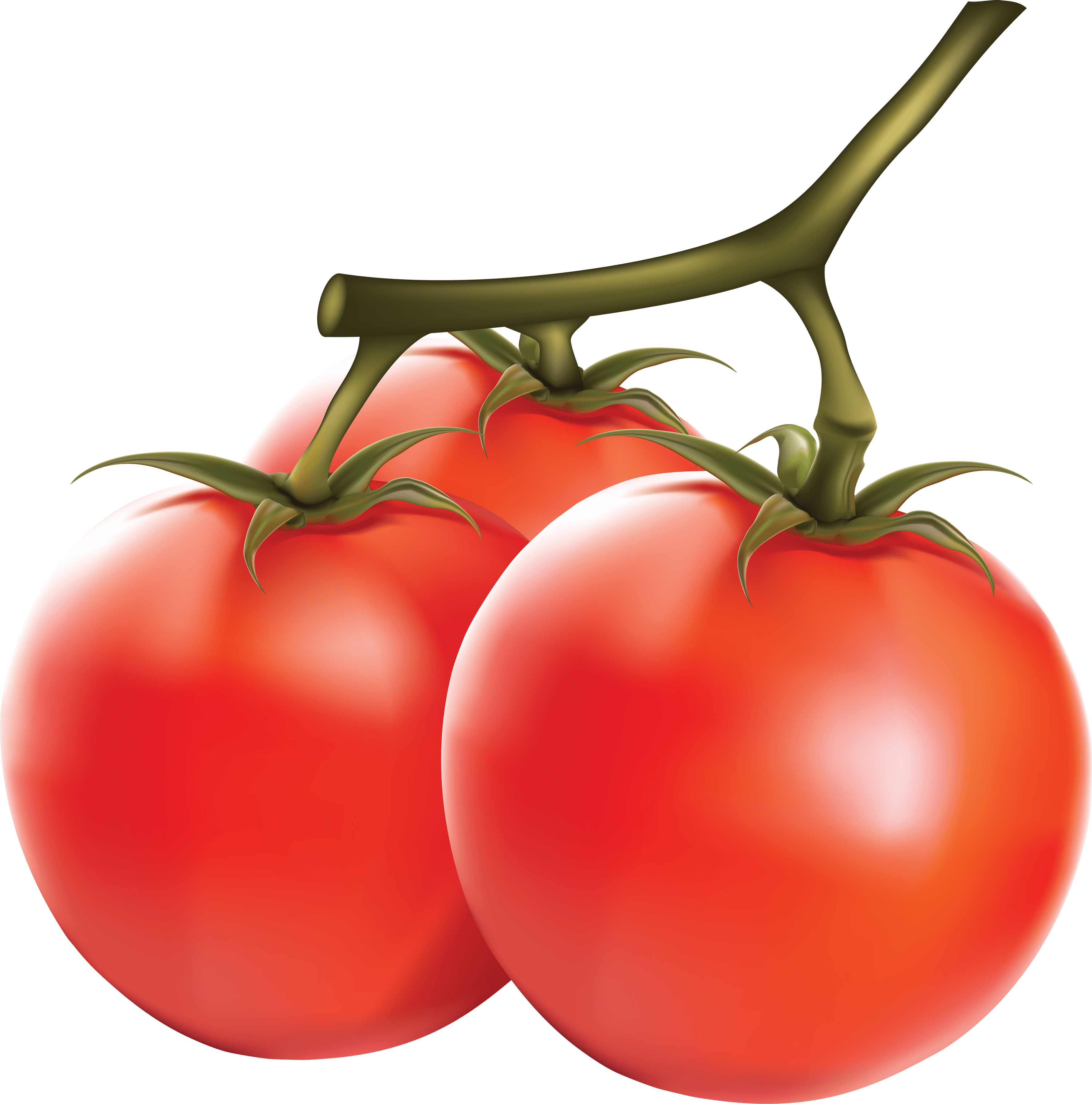 download tomato png image png image pngimg #15539