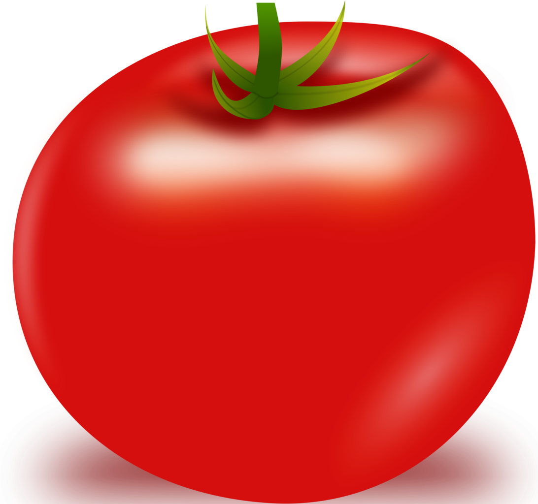 download tomato vector png image pngimg #15556