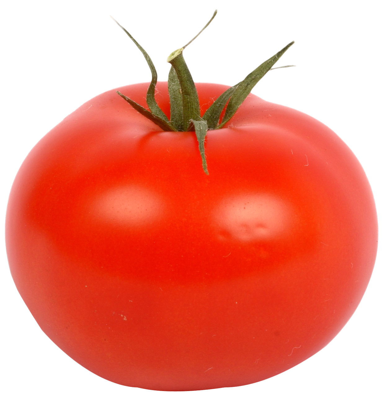 fresh red tomato png image png transparent best photos #15576