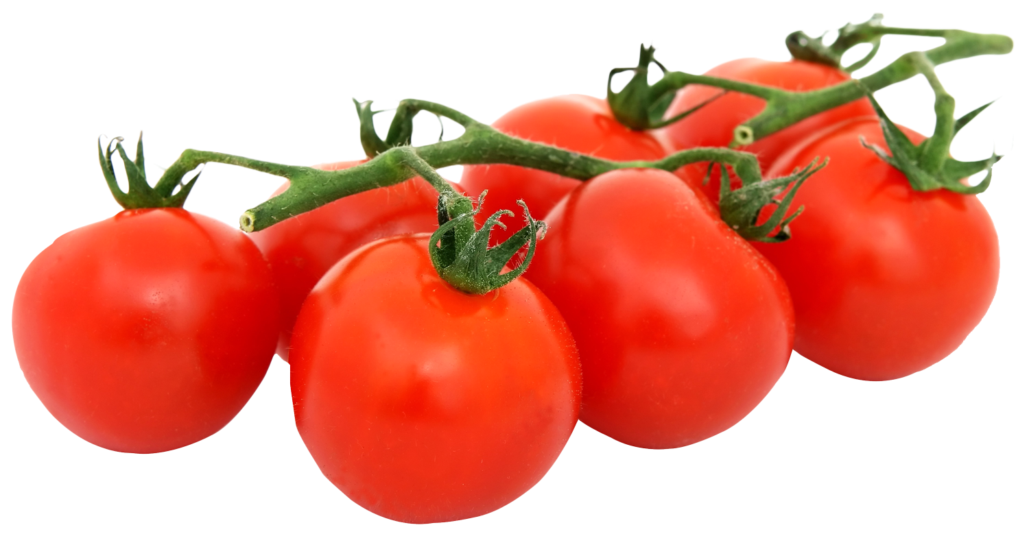 tomato, bunch fresh tomatoes png image pngpix #15560