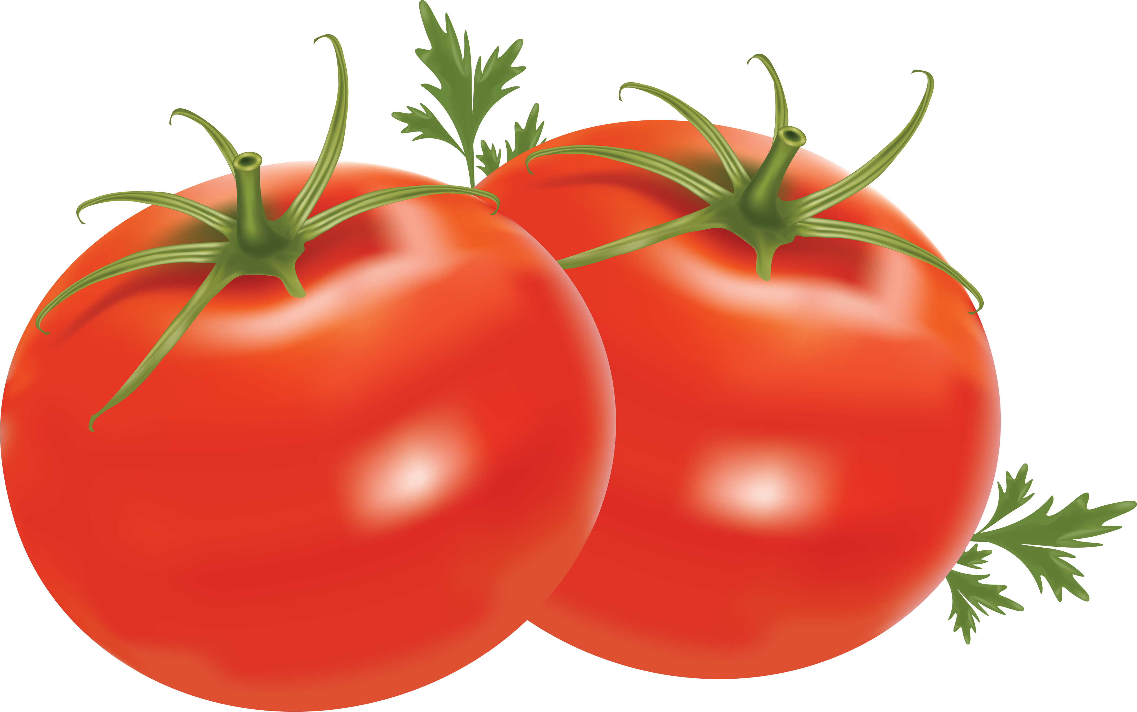 Tomatoes Free PNG Transparent Tomato PNG Clipart Free Download