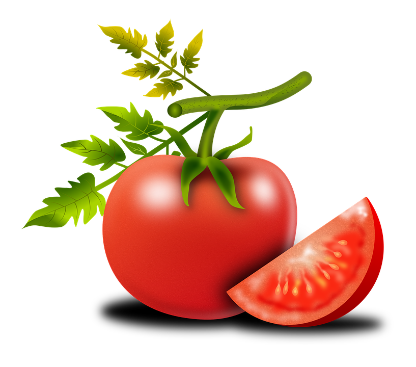 tomato fruit solanum lycopersicum image pixabay #15529