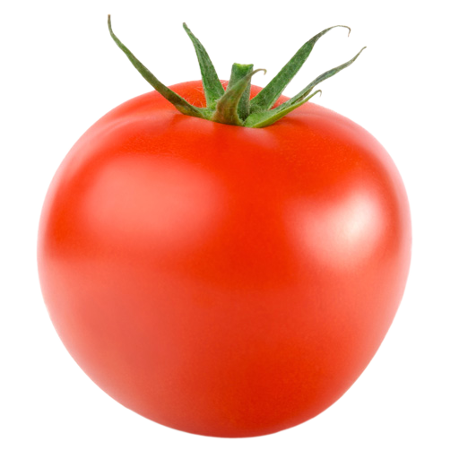 tomato levarht #15542