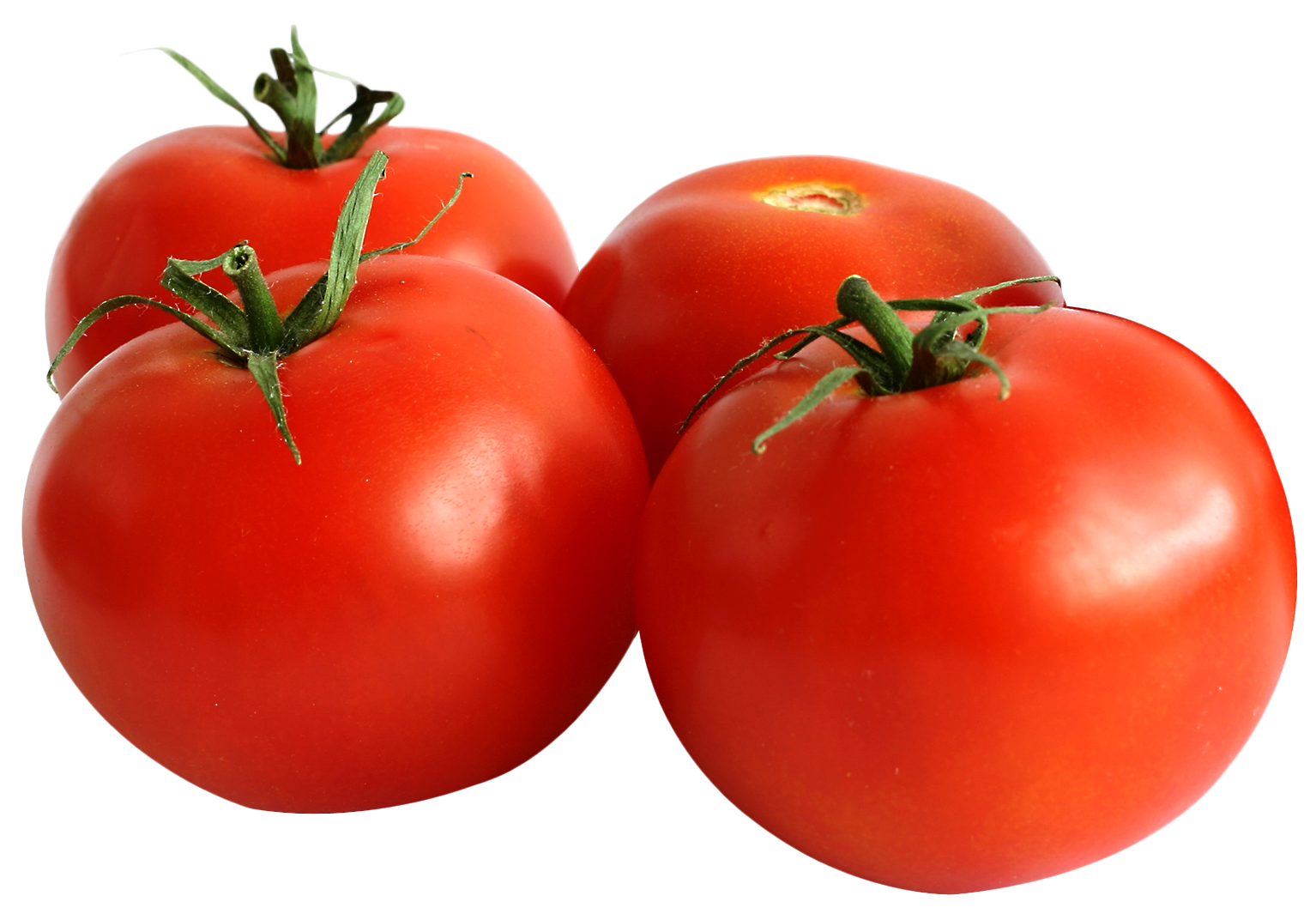 tomato png image png transparent best photos #15574