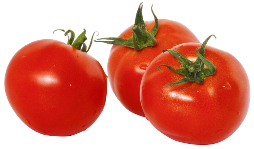 tomato png image pngpix #15557