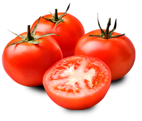 tomato puree tomato paste tomato puree and paste #15565