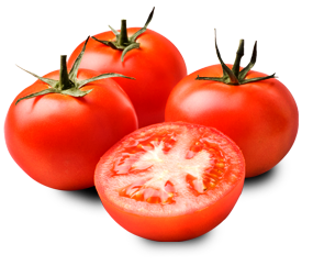 Tomato