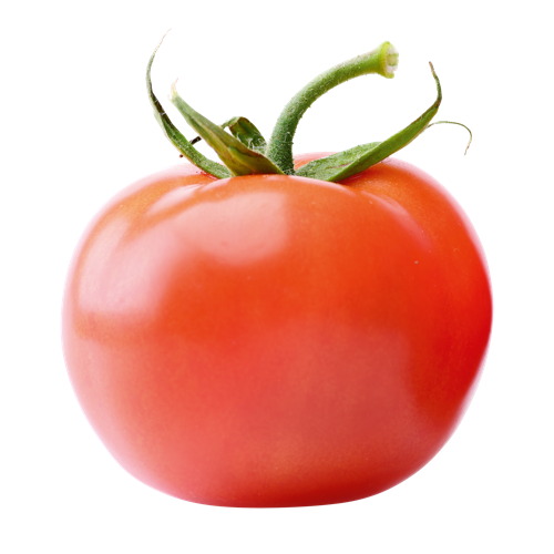tomato sch boden spies #15564