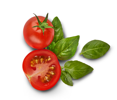 tomato, viva mamma pasta italian style authentic meal usa #15558