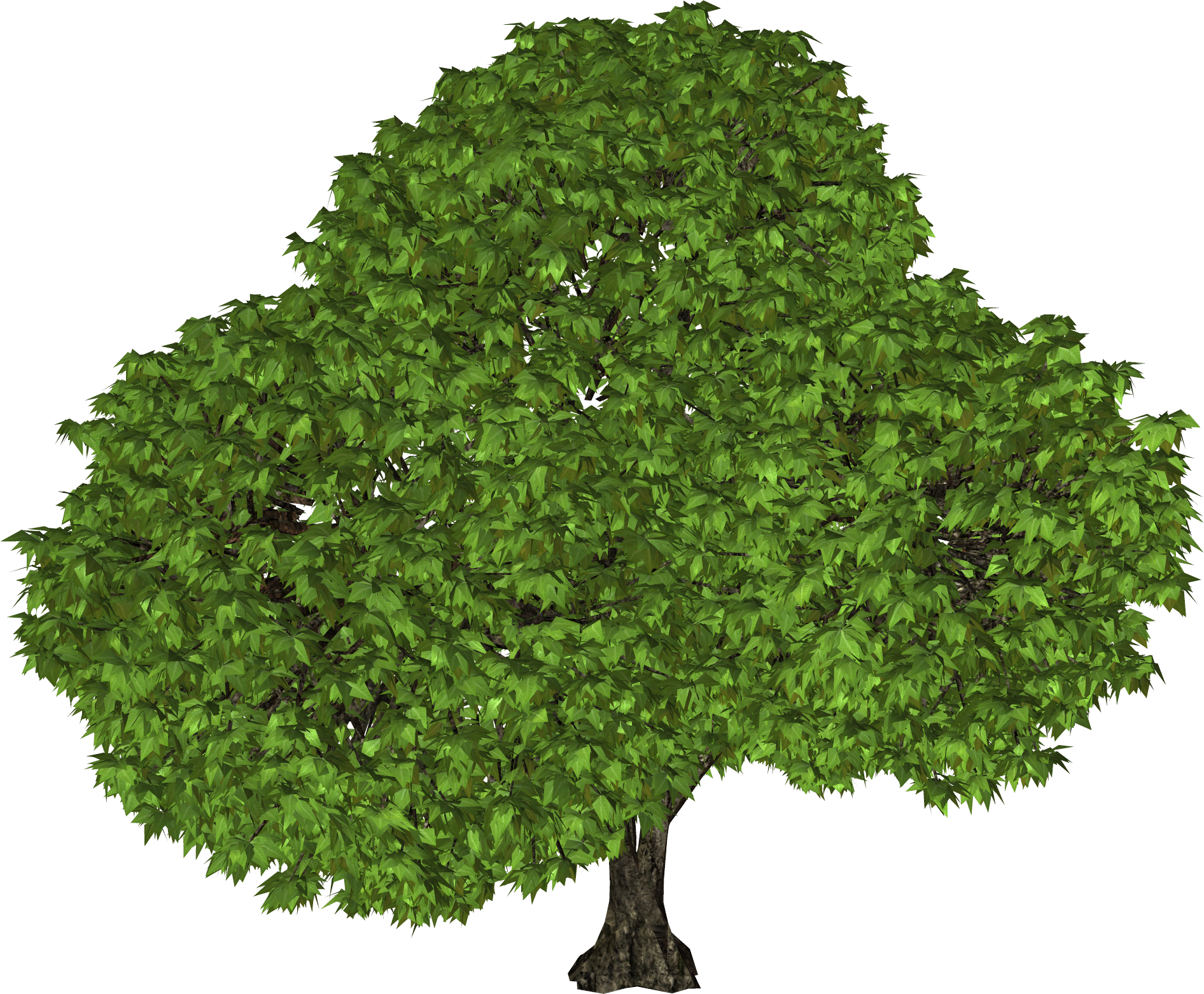 tree clipart picture download #8251