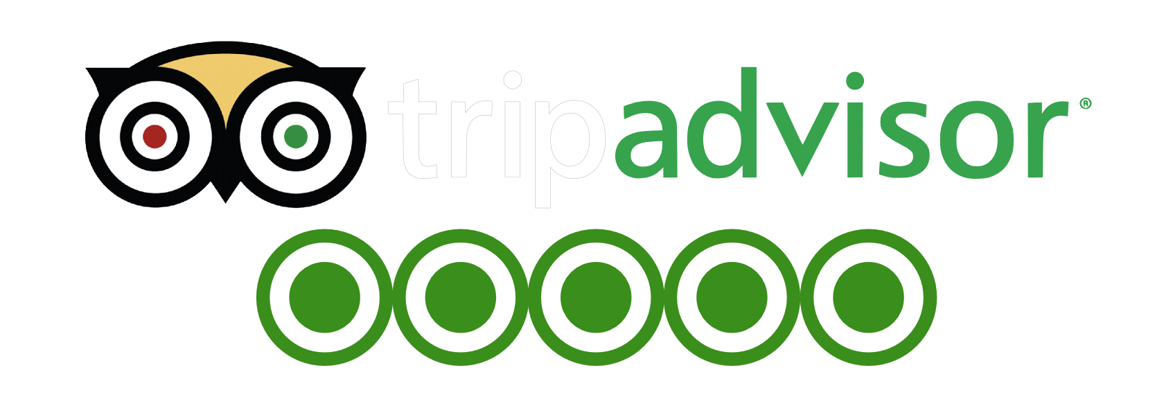 tripadvisor logo, leisure italy private excursions and custom tours #28224
