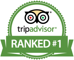 tripadvisor logo, lumbadive carriacou grenada padi courses tripadvisor #28209