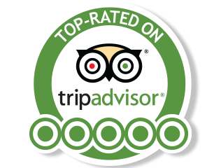 tripadvisor logo, tripadvisor still flying high its journey instant bookings digital innovation and #28215