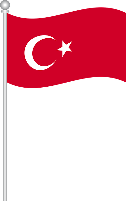 flag turkey turkish world, türk bayrağı #32785