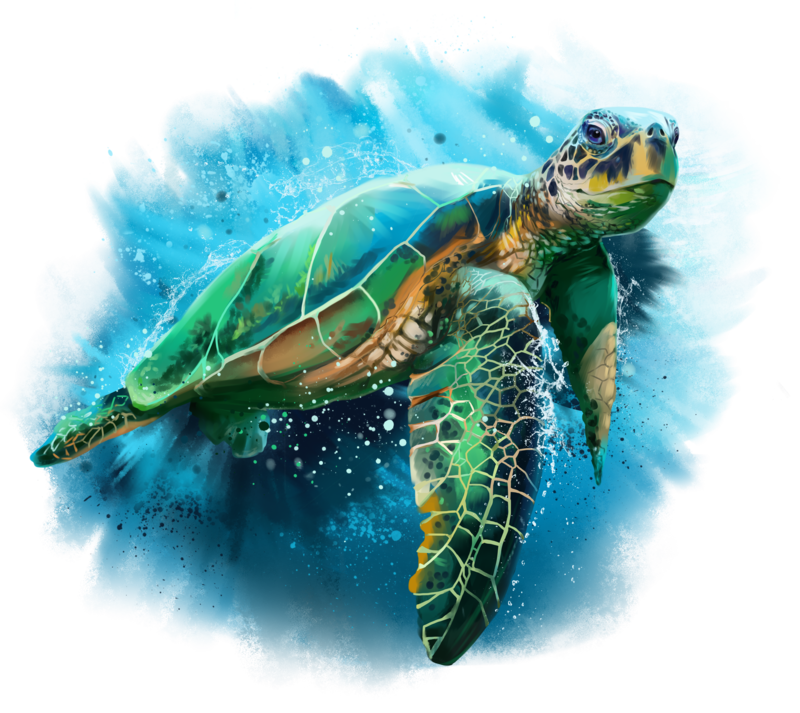 green sea turtle kajenna deviantart #23745