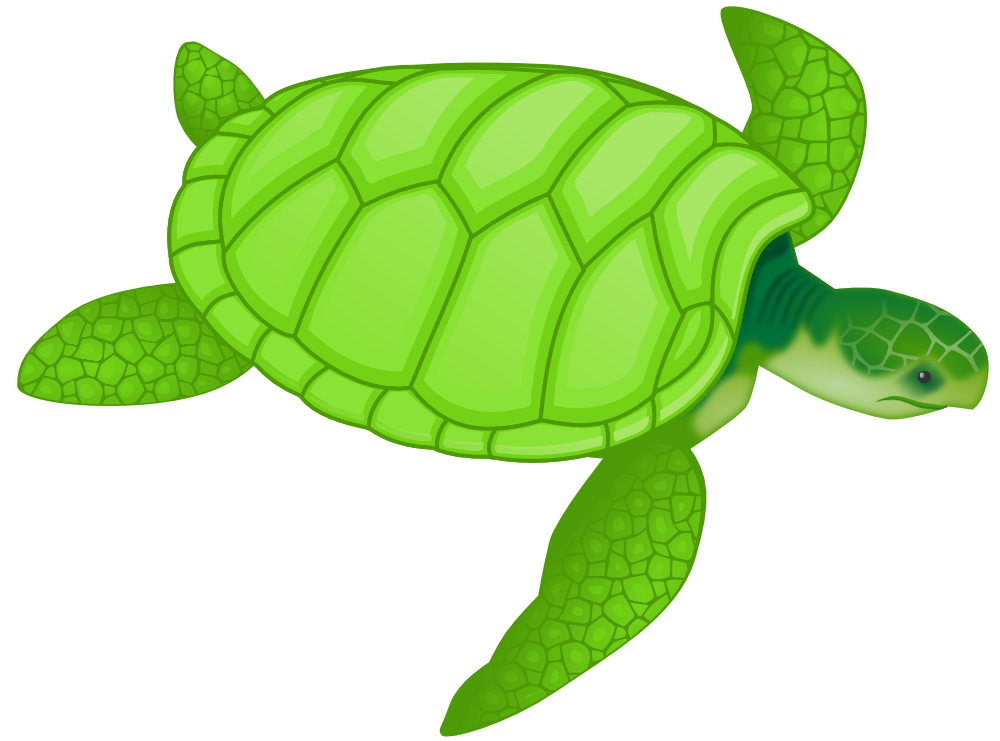onlinelabels clip art green sea turtle #23799