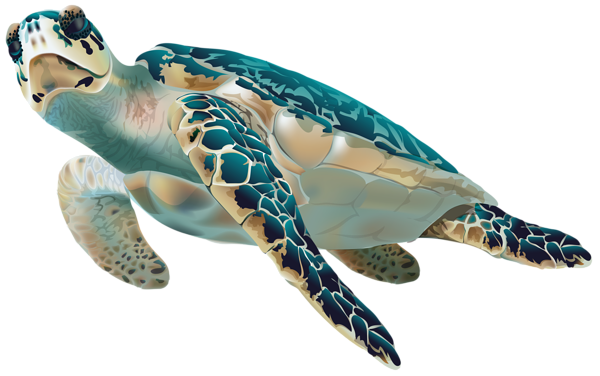 sea turtle png transparent clip art image gallery #23710