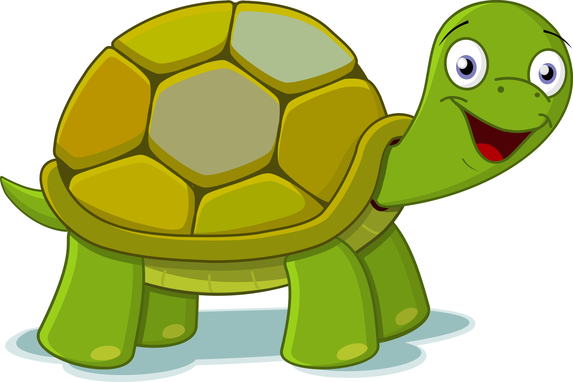 turtle clipart png transparent pencil and color #23733