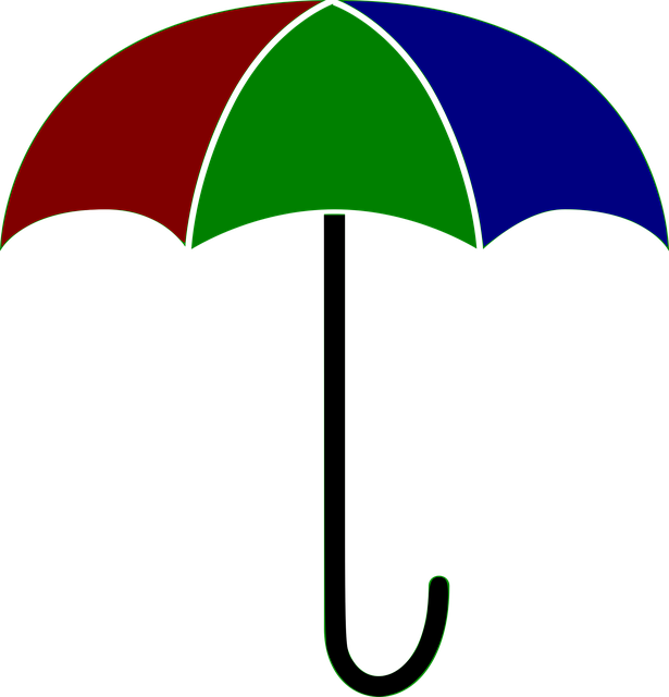 vector graphic umbrella colored weather #18777