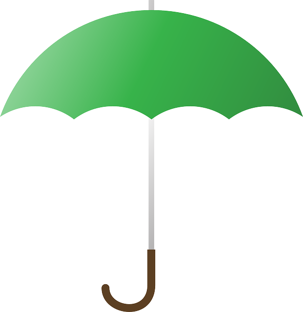 vector graphic umbrella cover rain green #18774