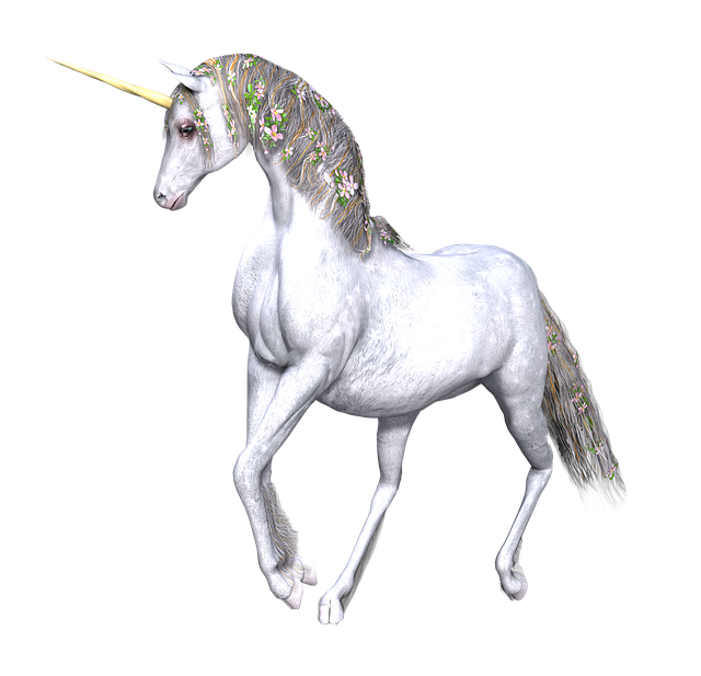 illustration unicorn fantasy fairy tale #20150