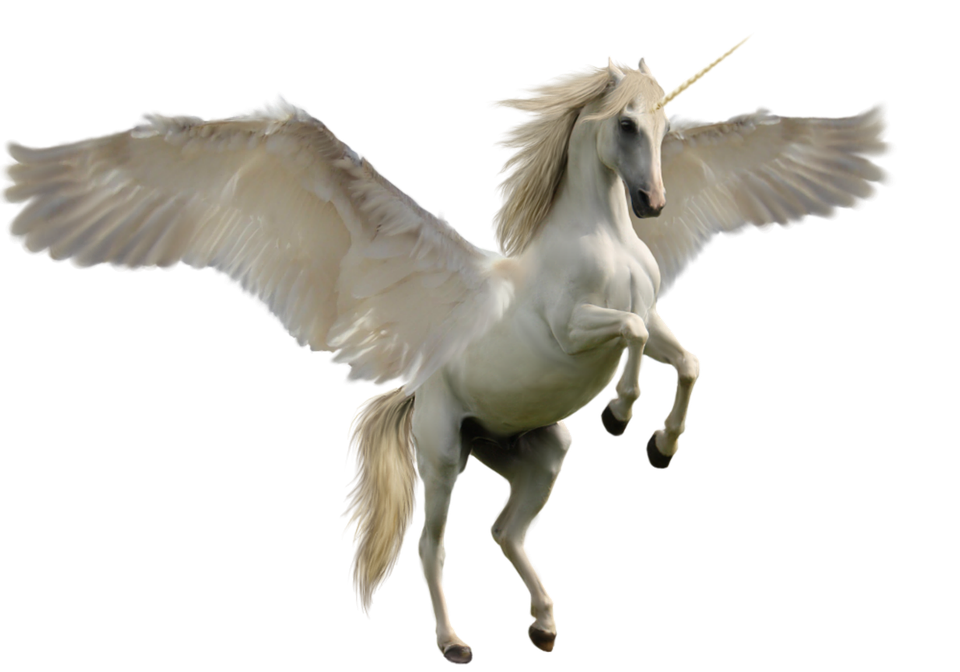 unicorn fantasy horse photo pixabay #20220