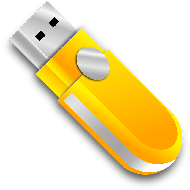 vector graphic usb stick flash drive thumb drive #24656