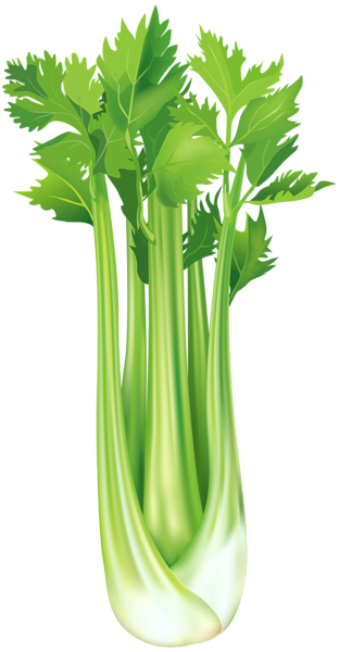 vegetables, celery png clip art image gallery yopriceville #15454