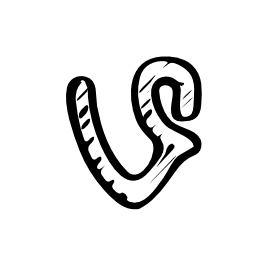 vine sketched social logo png #5635