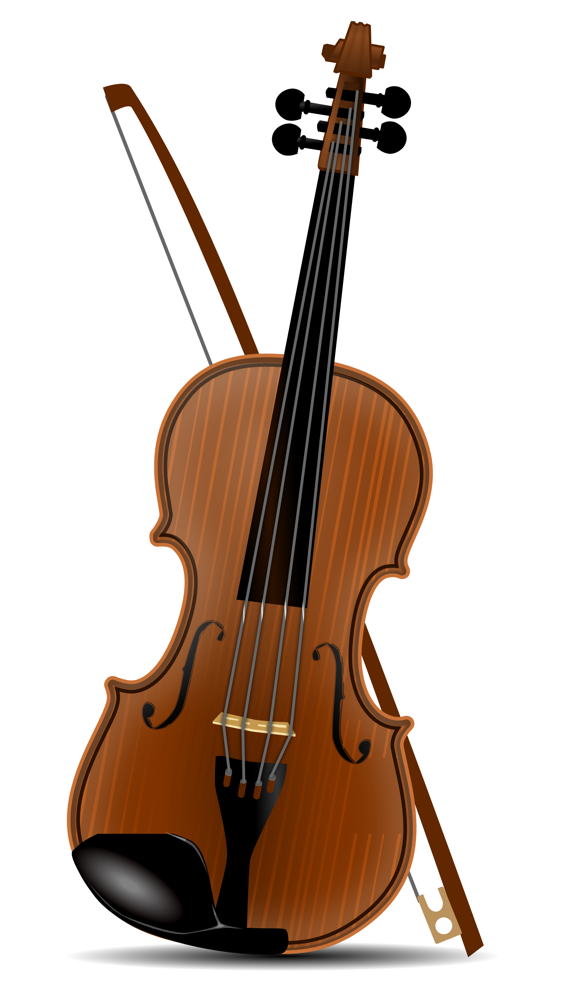 Violin