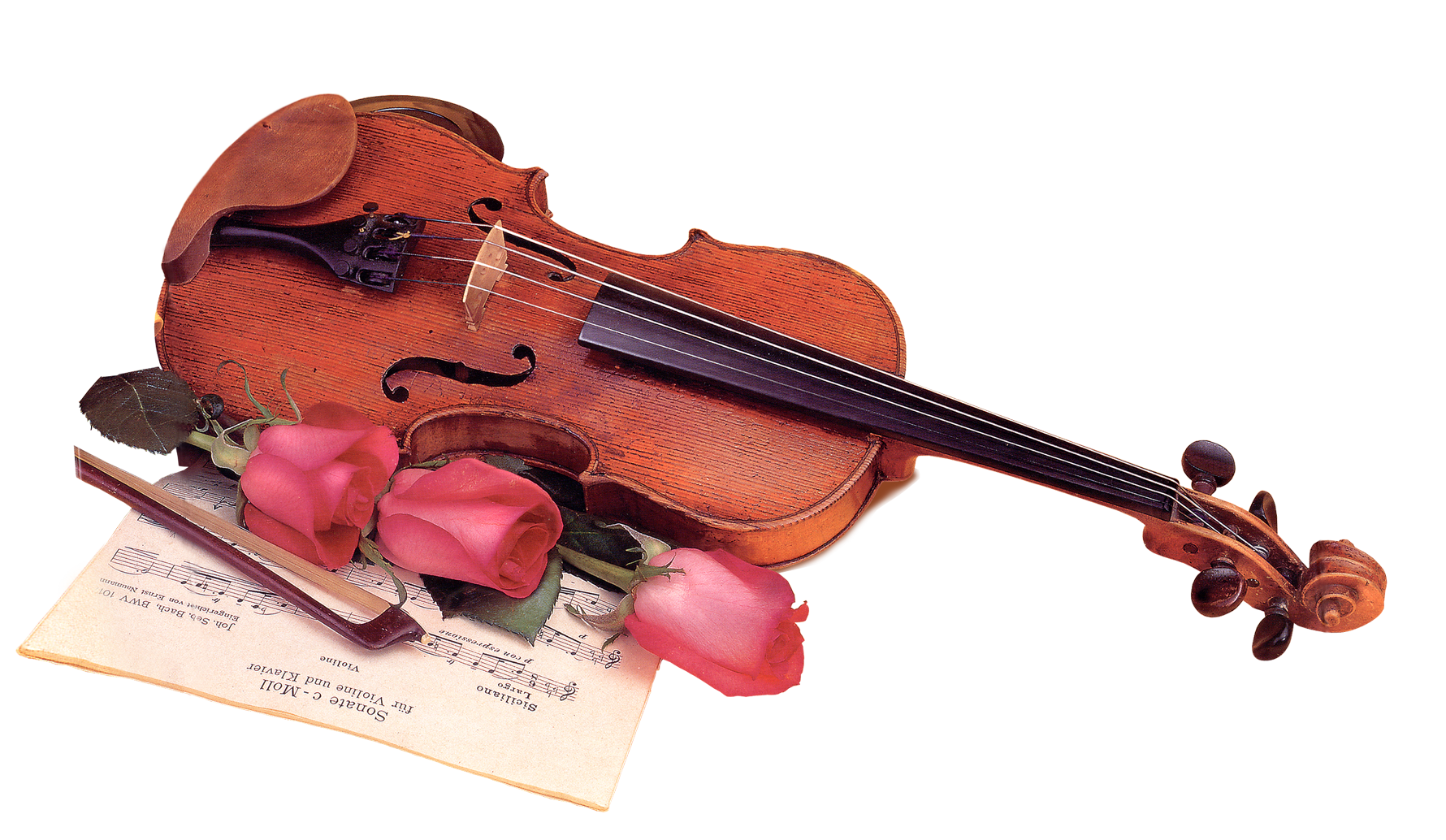 Hardwood violin with rose and musical notes png download #29958
