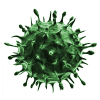 Virus Transparent PNG Images, Free Download Virus Icon