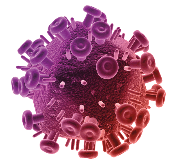 Virus Transparent PNG Images, Free Download Virus Icon