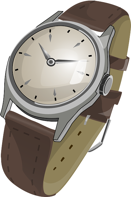 watch wristwatch wrist vector graphic pixabay #18718