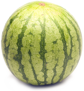 divine flavor watermelon mini #17940