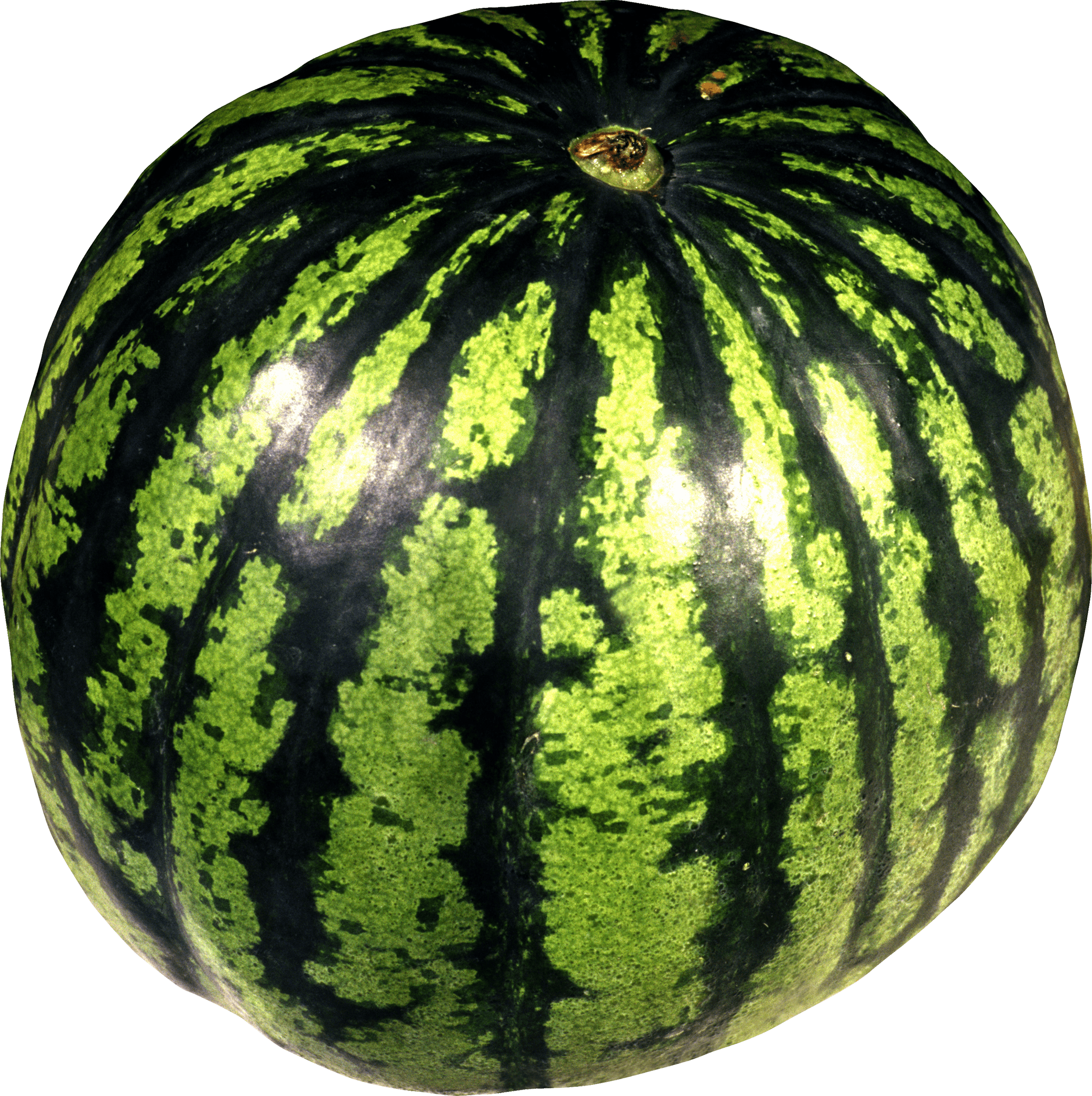 download watermelon png image png image pngimg #17850