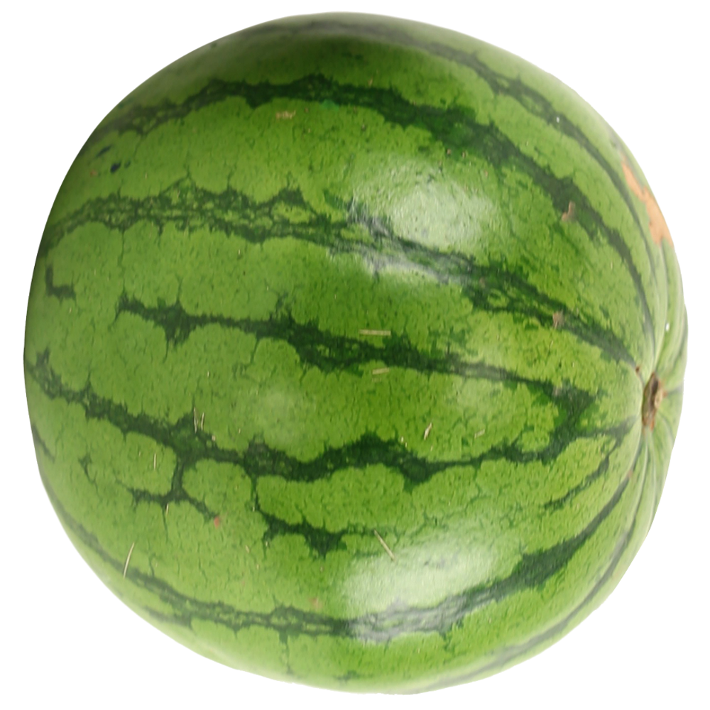 top watermelon png transparent images #17884