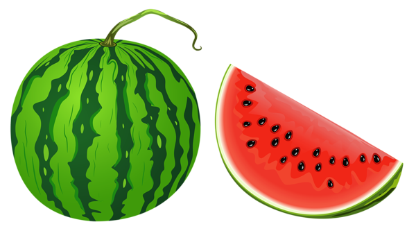 watermelon clipart watermelonclipart fruit clip art #17968
