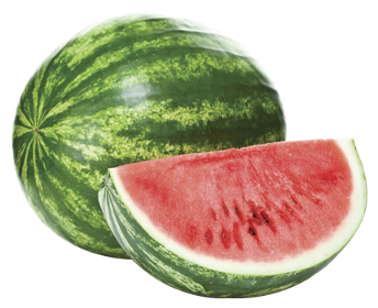 watermelon, gea products #17835