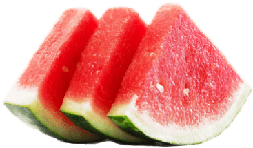 watermelon, habbobites celebrations the day august #18092