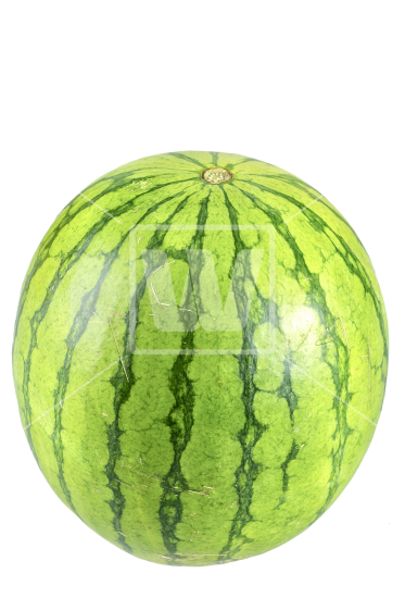 watermelon png download high resolution png image from #17936