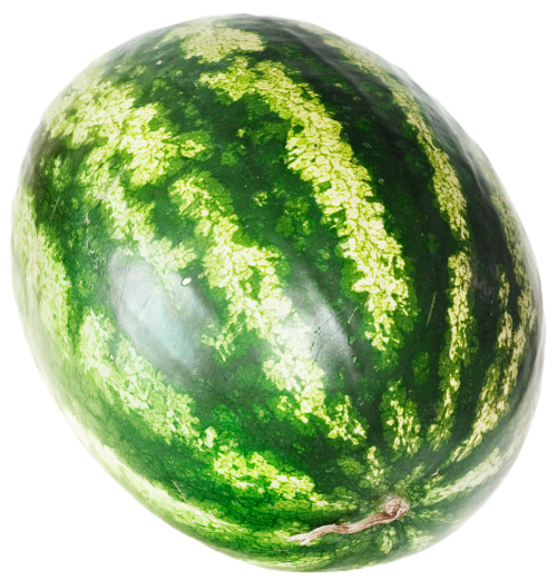 watermelon png image pngpix #17845