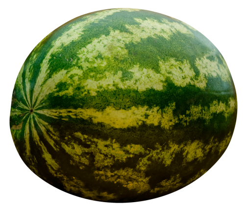 watermelon png image pngpix #17867