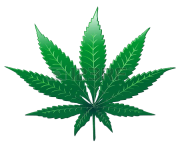 cannabis weed leaf png clipart images #18539