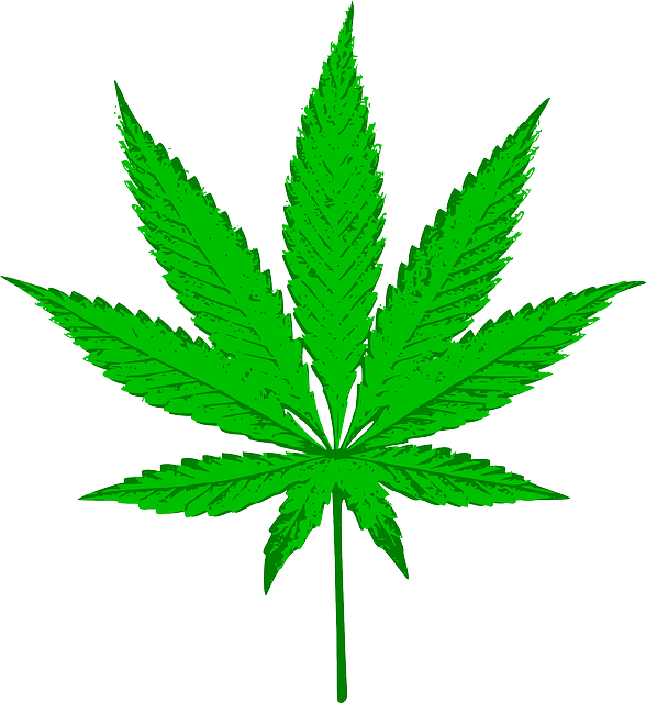 weed leaf, cannabis sativa marijuana vector graphic pixabay #18497
